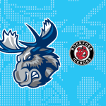 Manitoba Moose Rockford Icehogs