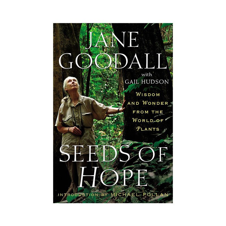 seeds-of-hope